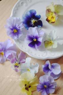 ᥾ɥӥ顦Ƴ<br>ˡΤ褦Ի׵ĿΥӥ