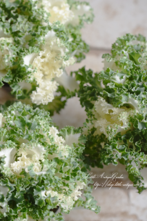 ϥܥ֥饫ȡץ֡ףĤͤˤʤ롪֤Τ褦ղð֡♡