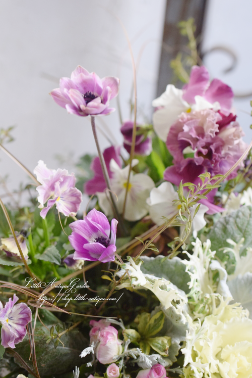 寄せ植え ギャザリング- LittleAntiqueGarden~リトル 寄せ植え ギャザリング- LittleAntiqueGarden~リトル