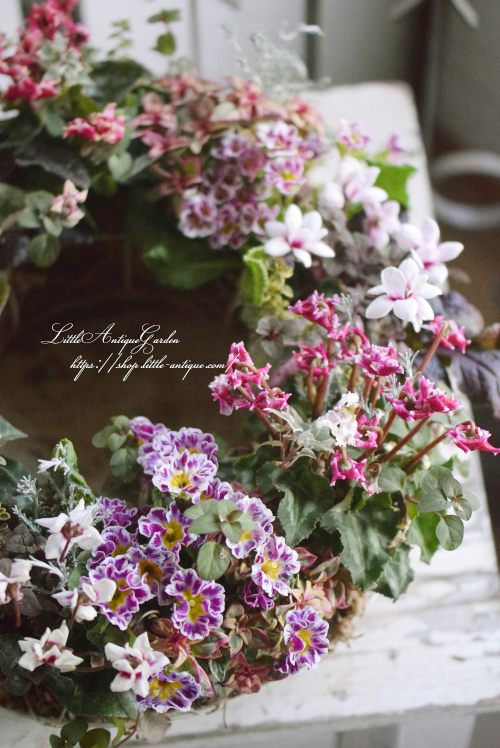 寄せ植え ギャザリング- LittleAntique*Garden～リトル