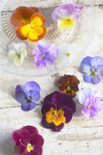 ѥ󥸡ӥ餪㤤10åȡϤʤɤΤ줫äˤ♡