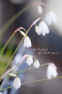 餭Ρե졼ˬȹ𤲤Τ♡äѤʤOKε庬ʪ<img class='new_mark_img2' src='https://img.shop-pro.jp/img/new/icons16.gif' style='border:none;display:inline;margin:0px;padding:0px;width:auto;' />