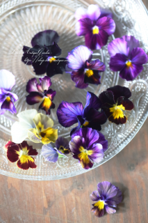 ᥾ɥӥ顦ӥ<br>̤Τ褦Ի׵ĿΥӥ<img class='new_mark_img2' src='https://img.shop-pro.jp/img/new/icons3.gif' style='border:none;display:inline;margin:0px;padding:0px;width:auto;' />