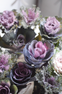 ⥫ϥܥ֡˨֥쥯Ͳİ㿧ղð