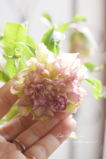 ź餭ꥹޥ֥쥤ץޥɥ쥹סȬź餭ۤź顪मä濴ʤ餤β֤Ӥ♡OKեȤˤ⡪