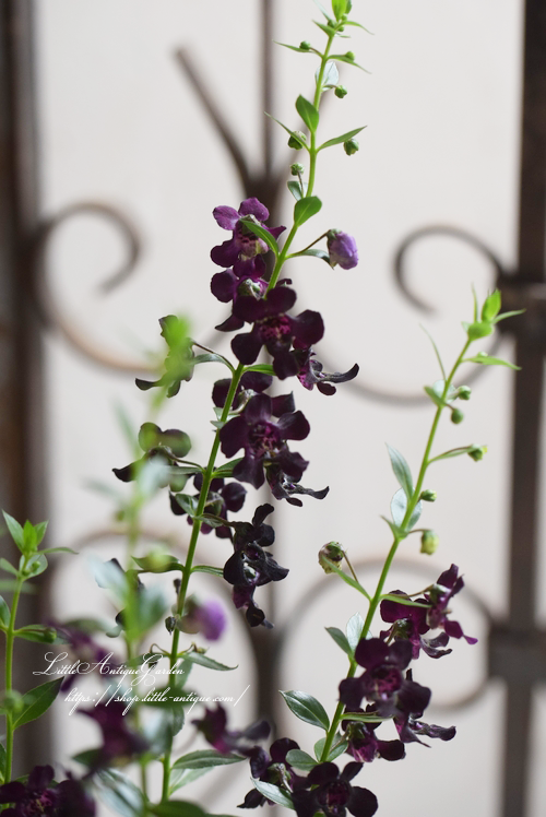 LittleAntiqueGarden‼️‼️エアコン LittleAntiqueGarden‼️‼️エアコン Amazon.com: Portable Air