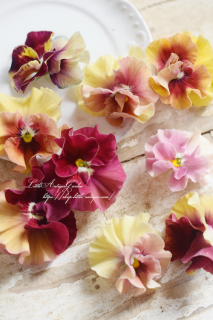 ¤󥪥ꥸʥѥ󥸡Х롼͵Υ֥ꥨޤ줿ʼ