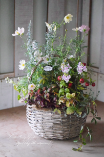 LittleAntiqueGardenΰƤ륢󥸥<br>ȹաѲڤ󤻿㥶󥰡ʢ<img class='new_mark_img2' src='https://img.shop-pro.jp/img/new/icons3.gif' style='border:none;display:inline;margin:0px;padding:0px;width:auto;' />