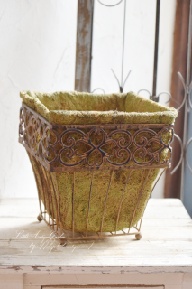 ѥץ󥿡<img class='new_mark_img2' src='https://img.shop-pro.jp/img/new/icons3.gif' style='border:none;display:inline;margin:0px;padding:0px;width:auto;' />