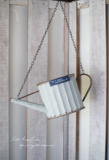 ɥ⡼硼졼<img class='new_mark_img2' src='https://img.shop-pro.jp/img/new/icons3.gif' style='border:none;display:inline;margin:0px;padding:0px;width:auto;' />