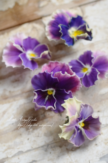 ݤΰӥ♡<br>֥եեꥢNo.19<img class='new_mark_img2' src='https://img.shop-pro.jp/img/new/icons3.gif' style='border:none;display:inline;margin:0px;padding:0px;width:auto;' />