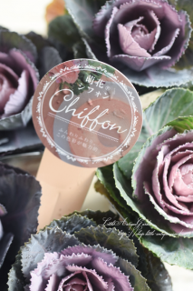 ⥫ϥܥ˨֥եסդİäȥåղð<img class='new_mark_img2' src='https://img.shop-pro.jp/img/new/icons3.gif' style='border:none;display:inline;margin:0px;padding:0px;width:auto;' />