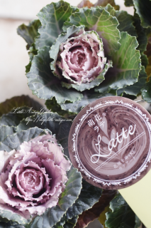 ⥫ϥܥ˨֥ơסդե뤬İäȥåղð<img class='new_mark_img2' src='https://img.shop-pro.jp/img/new/icons3.gif' style='border:none;display:inline;margin:0px;padding:0px;width:auto;' />