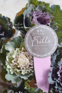 ⥫ϥܥ˨֥եסդե뤬İäȥåղð<img class='new_mark_img2' src='https://img.shop-pro.jp/img/new/icons3.gif' style='border:none;display:inline;margin:0px;padding:0px;width:auto;' />