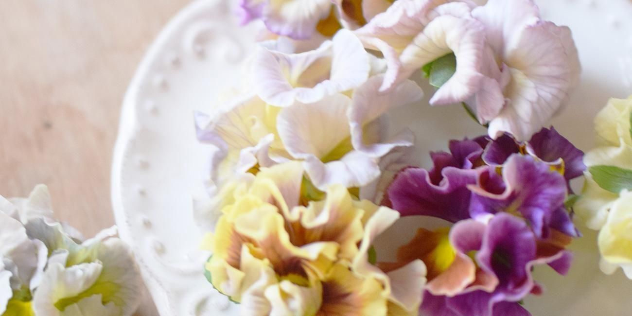 LittleAntiqueGarden～リトルアンティークガーデン～