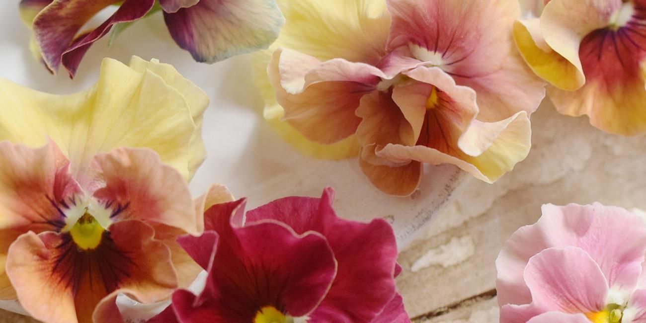 LittleAntiqueGarden～リトルアンティークガーデン～