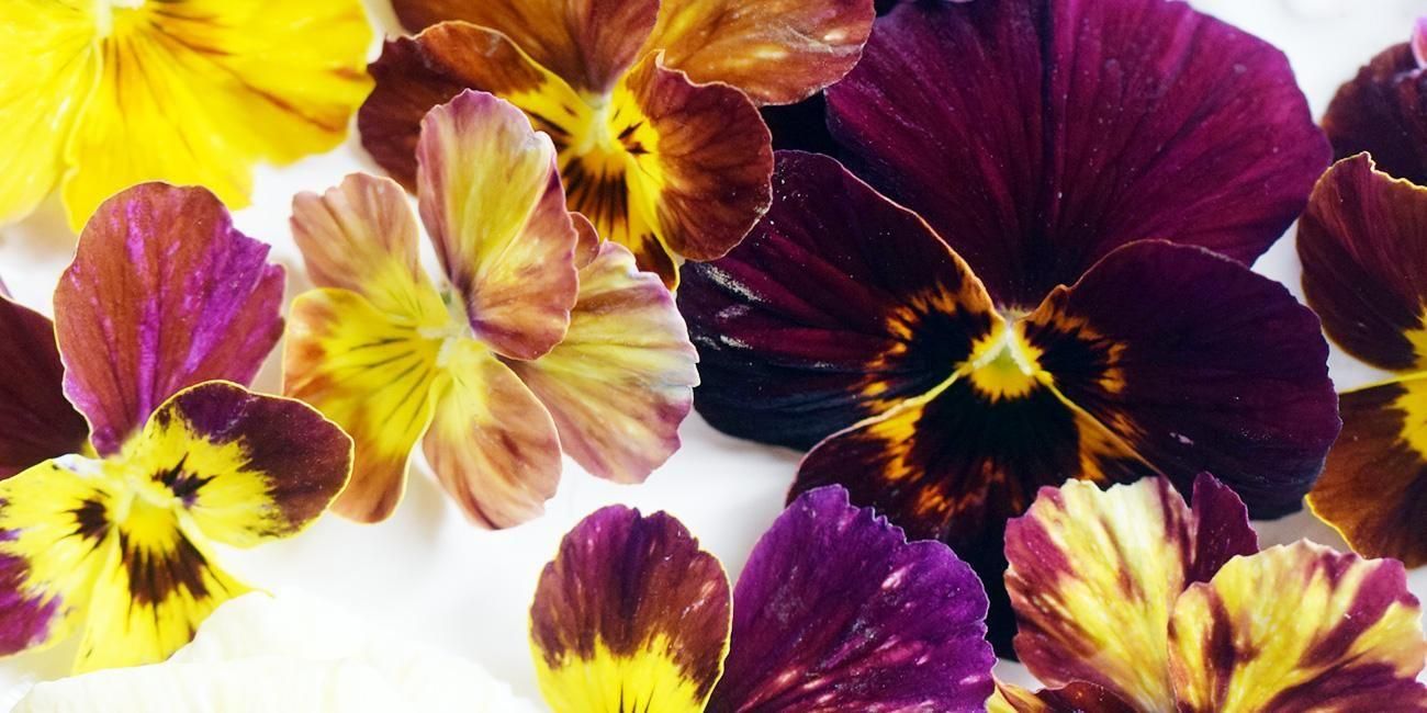 LittleAntiqueGarden～リトルアンティークガーデン～