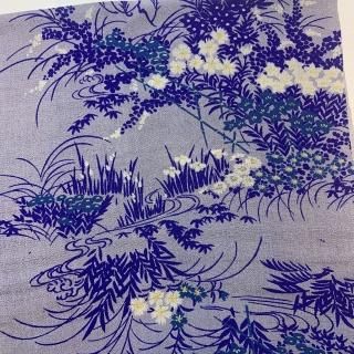 䡵T-207ƥϤƣͿϤĻ翧β֡