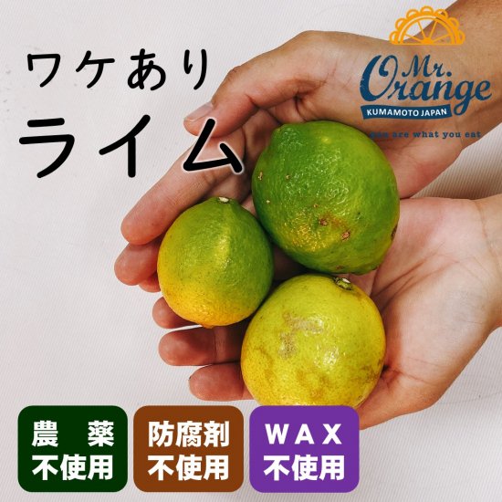 希少な国産ライム（訳あり） 熊本産・無農薬・無化学肥料栽培