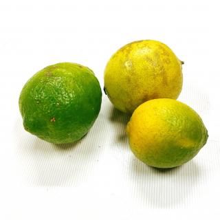 ڥ辰 ̵饤ࡡ(̤꡿kg)