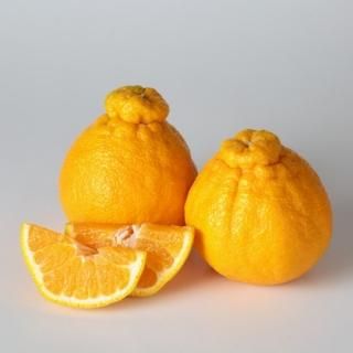 無農薬パール柑 1kg量り売り - Mr.Orange (ミスターオレンジ) 無農薬パール柑 1kg量り売り - Mr.Orange (ミスターオレンジ)