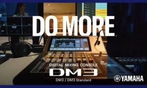 DM3