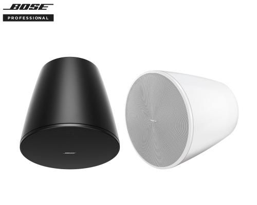 BOSEʥܡDesignMax DM10P-SUB SG