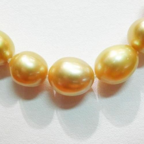SV 南洋ゴールデンパール ネックレス P 8.5-12.3mm