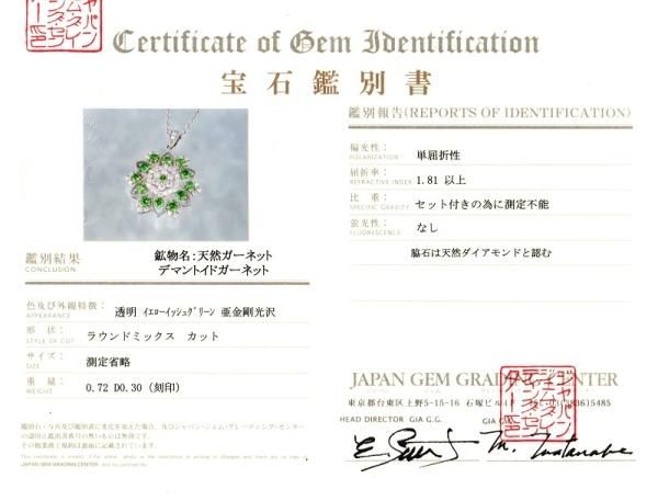 デマントイドガーネット ダイヤモンドネックレス DTG 0.72ct D 0.30ct