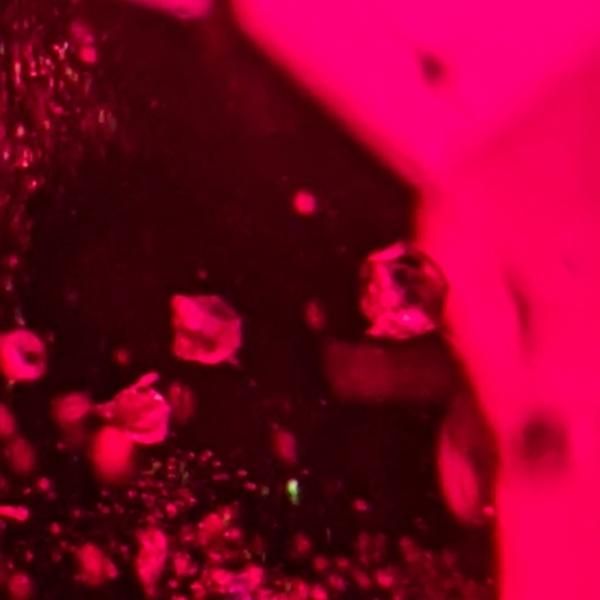 非加熱ピジョンブラッドカラークッションシェイプルビールース R 非加熱ピジョンブラッドカラークッションシェイプルビールース R