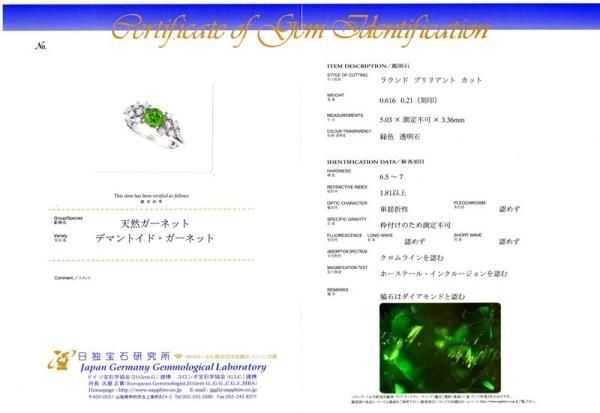デマントイドガーネット ダイヤモンドリング DTG 0.616ct D 0.21 デマントイドガーネット ダイヤモンドリング DTG 0.616ct D 0.21