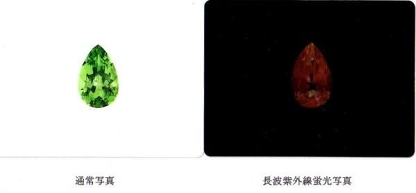 ミントガーネット ダイヤモンドネックレス GA 0.96ct D 0.06ct ミントガーネット ダイヤモンドネックレス GA 0.96ct D 0.06ct