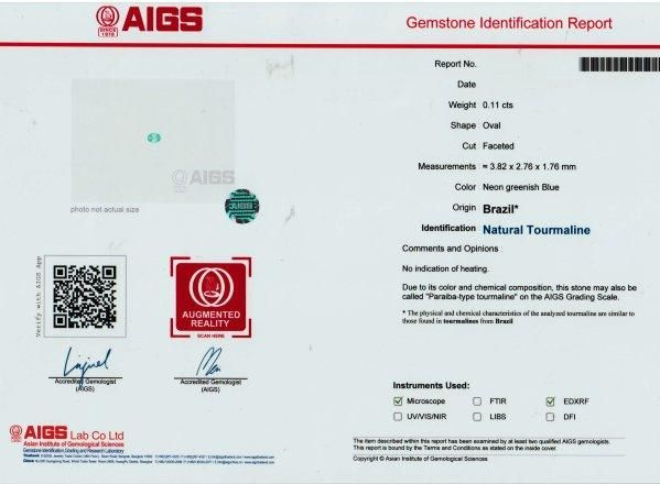 ダイワ エメラルダス AGS イカメタル N66XULB IM (ロッド・釣竿