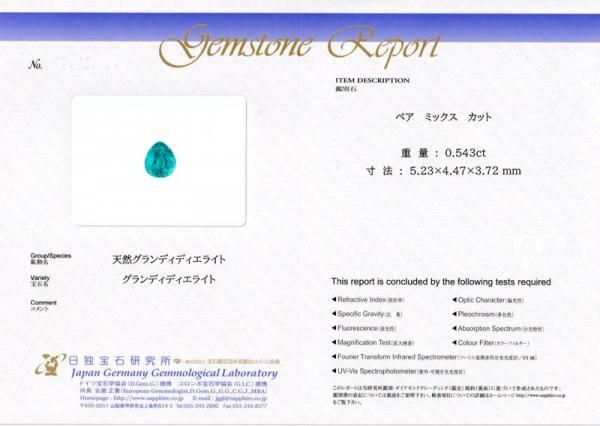 グランディディエライト ダイヤモンドネックレス GRD 0.543ct D グランディディエライト ダイヤモンドネックレス GRD 0.543ct D