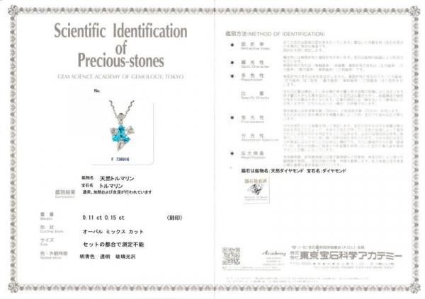 ブラジル産パライバトルマリン ダイヤモンドネックレス PA 0.11ct D