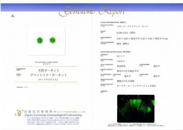 デマントイドガーネットピアス DTG 0.220ct 0.221ct Pt900 日独宝石