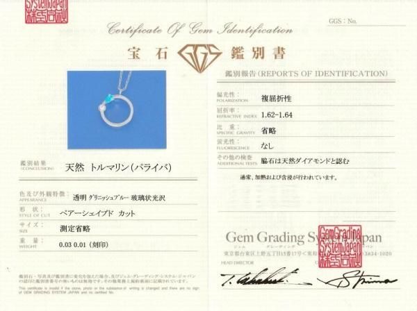 パライバトルマリン サークルモチーフダイヤモンドネックレス PA 0.03