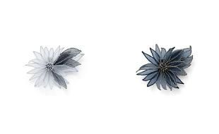 yuki onizuka DANDELION α