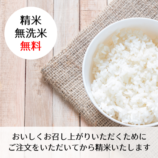 北海道産ゆめぴりか 令和6年 玄米5Kg 1等 北海道産ゆめぴりか 令和6年 玄米5Kg 1等
