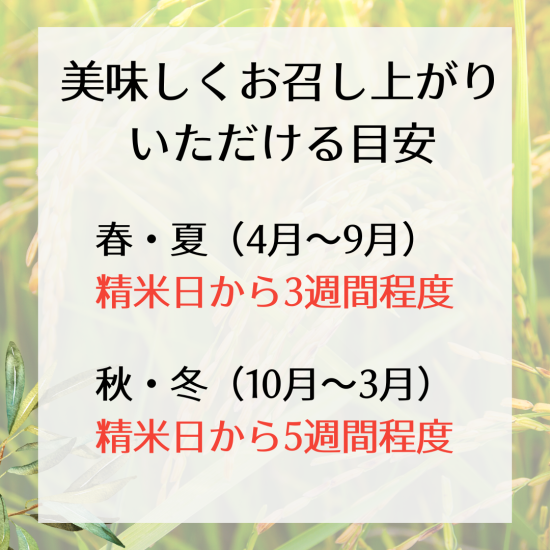 京都丹波産コシヒカリ 令和6年 玄米30Kg 京都丹波産コシヒカリ 令和6年 玄米30Kg