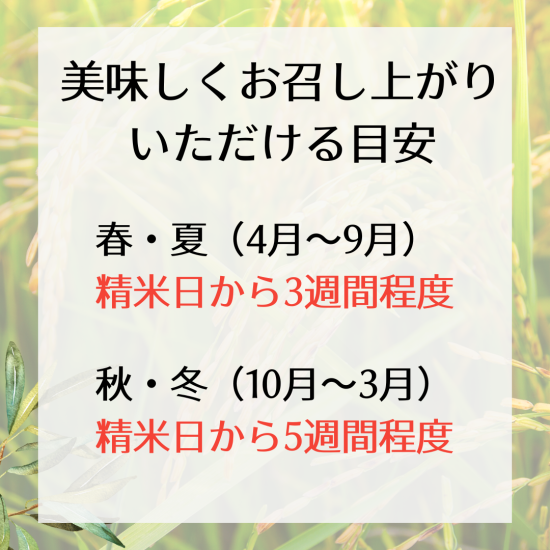 新米】京都丹波産コシヒカリ 令和５年 玄米30Kg