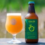 ʡCitra IPA / ֲ⸶ӡ