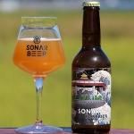 AMAKUSA SONAR BEER / ޥʡ POSEIDON Hazy DIPA TDH