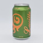 Georgetown / 硼 륷 IPA