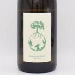グートオッガウ　ヴェルリッチ Gut Oggau ワイン MORE Natural Wine