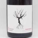 ץǥ ĥȥߥ͡ 2021  750ml / Domaine Gross ɥ᡼̡