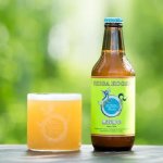 ʡۻֲ⸶ӡ ̵̸ Hazy IIPA