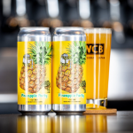 ʡۥȥȥ֥塼 Pineapple Party