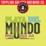 ʡۥȥåץ󥰥ꥢ Playa Del Mundo