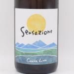 ӥ 󥵥ĥ 2021  750ml / Cascina Lieto å ꥨ